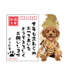 笑顔で迎える2026♡お正月プードル年賀（個別スタンプ：25）