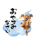 笑顔で迎える2026♡お正月プードル年賀（個別スタンプ：28）