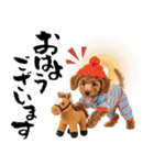 笑顔で迎える2026♡お正月プードル年賀（個別スタンプ：29）