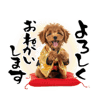 笑顔で迎える2026♡お正月プードル年賀（個別スタンプ：30）