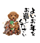 笑顔で迎える2026♡お正月プードル年賀（個別スタンプ：31）
