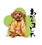 笑顔で迎える2026♡お正月プードル年賀（個別スタンプ：32）