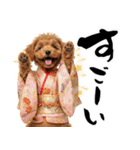 笑顔で迎える2026♡お正月プードル年賀（個別スタンプ：33）