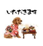 笑顔で迎える2026♡お正月プードル年賀（個別スタンプ：34）