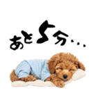 笑顔で迎える2026♡お正月プードル年賀（個別スタンプ：36）