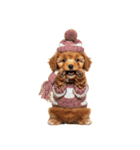 笑顔で迎える2026♡お正月プードル年賀（個別スタンプ：37）