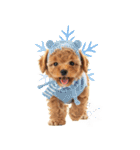 笑顔で迎える2026♡お正月プードル年賀（個別スタンプ：38）