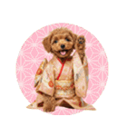 笑顔で迎える2026♡お正月プードル年賀（個別スタンプ：40）