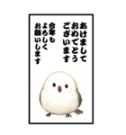 シマエナガのBIG年賀状（個別スタンプ：9）