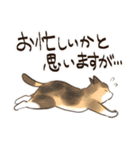 ねこまみれ年賀（個別スタンプ：19）