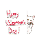 ねこまみれ年賀（個別スタンプ：25）