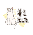 ねこまみれ年賀（個別スタンプ：37）