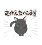 ねこまみれ年賀（個別スタンプ：38）