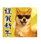 サングラスした柴犬 あけおめスタンプ（個別スタンプ：2）