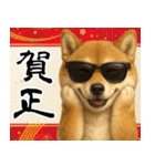 サングラスした柴犬 あけおめスタンプ（個別スタンプ：6）