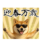 サングラスした柴犬 あけおめスタンプ（個別スタンプ：7）