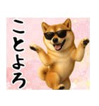 サングラスした柴犬 あけおめスタンプ（個別スタンプ：9）