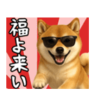 サングラスした柴犬 あけおめスタンプ（個別スタンプ：10）