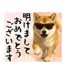 サングラスした柴犬 あけおめスタンプ（個別スタンプ：11）