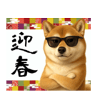 サングラスした柴犬 あけおめスタンプ（個別スタンプ：12）
