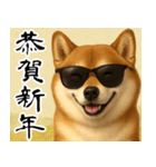サングラスした柴犬 あけおめスタンプ（個別スタンプ：13）