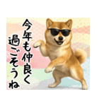 サングラスした柴犬 あけおめスタンプ（個別スタンプ：14）