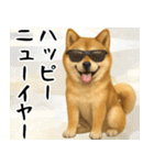 サングラスした柴犬 あけおめスタンプ（個別スタンプ：15）