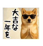 サングラスした柴犬 あけおめスタンプ（個別スタンプ：19）