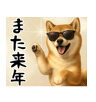 サングラスした柴犬 あけおめスタンプ（個別スタンプ：24）