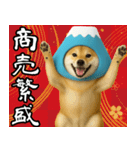 富士山をかぶった柴犬 年末年始（個別スタンプ：10）