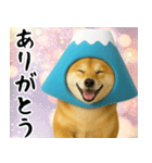富士山をかぶった柴犬 年末年始（個別スタンプ：15）