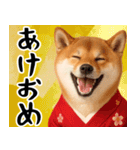 柴犬のあけおめスタンプ【毎年使える】（個別スタンプ：1）