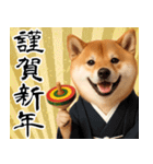 柴犬のあけおめスタンプ【毎年使える】（個別スタンプ：3）