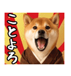 柴犬のあけおめスタンプ【毎年使える】（個別スタンプ：6）