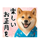 柴犬のあけおめスタンプ【毎年使える】（個別スタンプ：11）