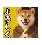 柴犬のあけおめスタンプ【毎年使える】（個別スタンプ：13）