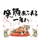 アメリカンカール❗️子猫のお正月あいさつ（個別スタンプ：10）