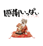 アメリカンカール❗️子猫のお正月あいさつ（個別スタンプ：14）