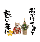 アメリカンカール❗️子猫のお正月あいさつ（個別スタンプ：15）