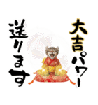 アメリカンカール❗️子猫のお正月あいさつ（個別スタンプ：19）