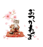 アメリカンカール❗️子猫のお正月あいさつ（個別スタンプ：21）