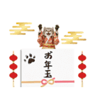 アメリカンカール❗️子猫のお正月あいさつ（個別スタンプ：26）