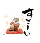 アメリカンカール❗️子猫のお正月あいさつ（個別スタンプ：32）