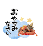 アメリカンカール❗️子猫のお正月あいさつ（個別スタンプ：34）