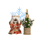 アメリカンカール❗️子猫のお正月あいさつ（個別スタンプ：38）