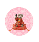 アメリカンカール❗️子猫のお正月あいさつ（個別スタンプ：40）