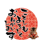 ソマリ子猫！華やかお正月あいさつスタンプ（個別スタンプ：2）