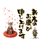 ソマリ子猫！華やかお正月あいさつスタンプ（個別スタンプ：6）