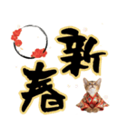 ソマリ子猫！華やかお正月あいさつスタンプ（個別スタンプ：7）