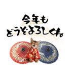 ソマリ子猫！華やかお正月あいさつスタンプ（個別スタンプ：9）